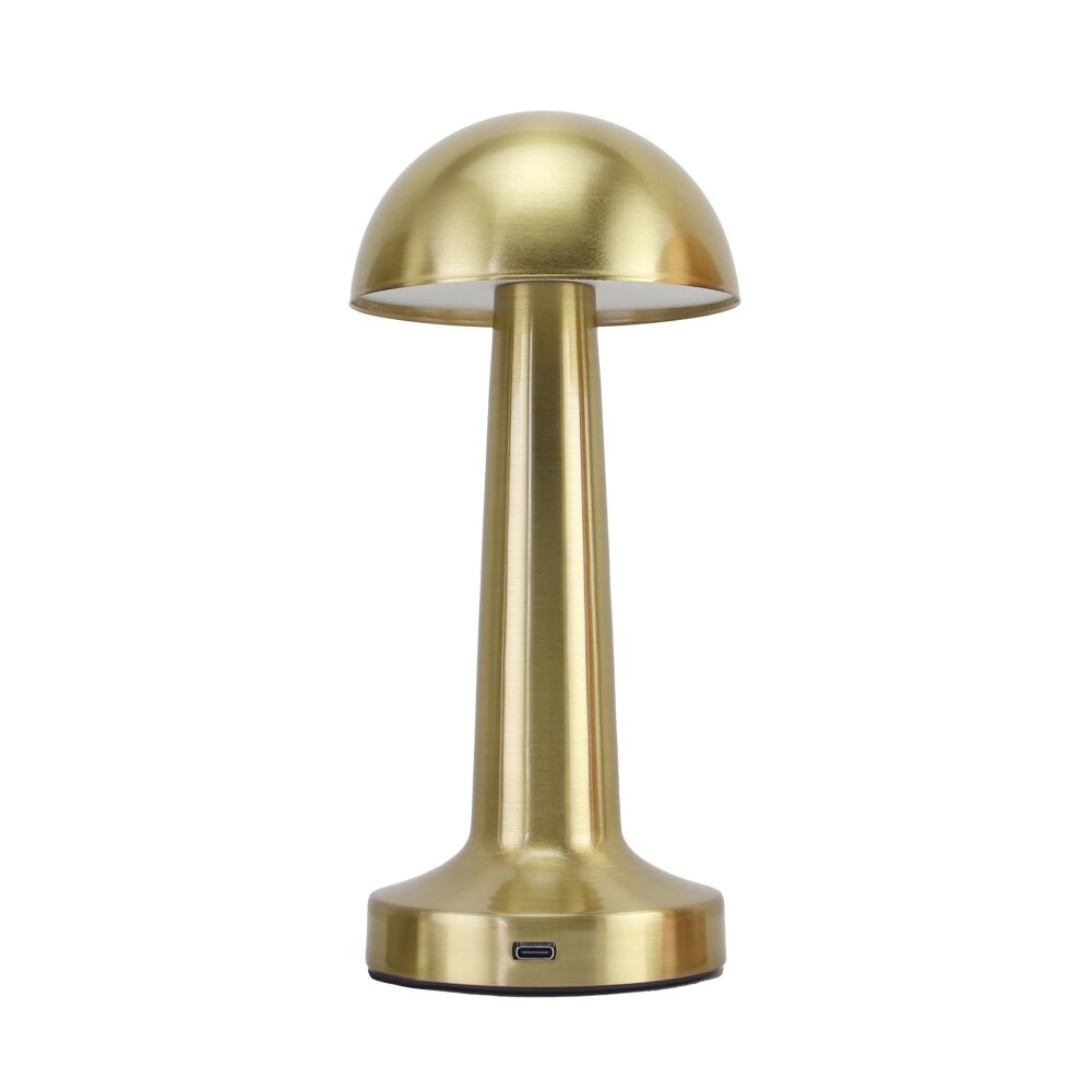 PANTHER PT-700 GOLD USB ŞARJLI MASA LAMBASI - 1