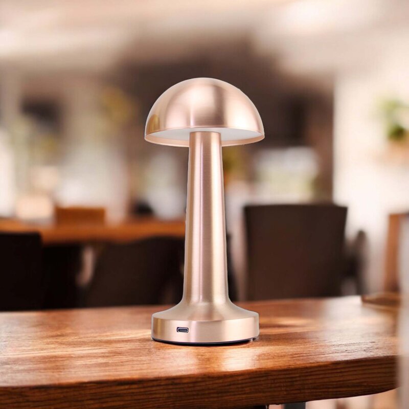 PANTHER PT-700 ROSE USB ŞARJLI MASA LAMBASI - 2