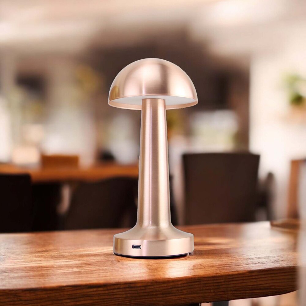 PANTHER PT-700 ROSE USB ŞARJLI MASA LAMBASI - 2