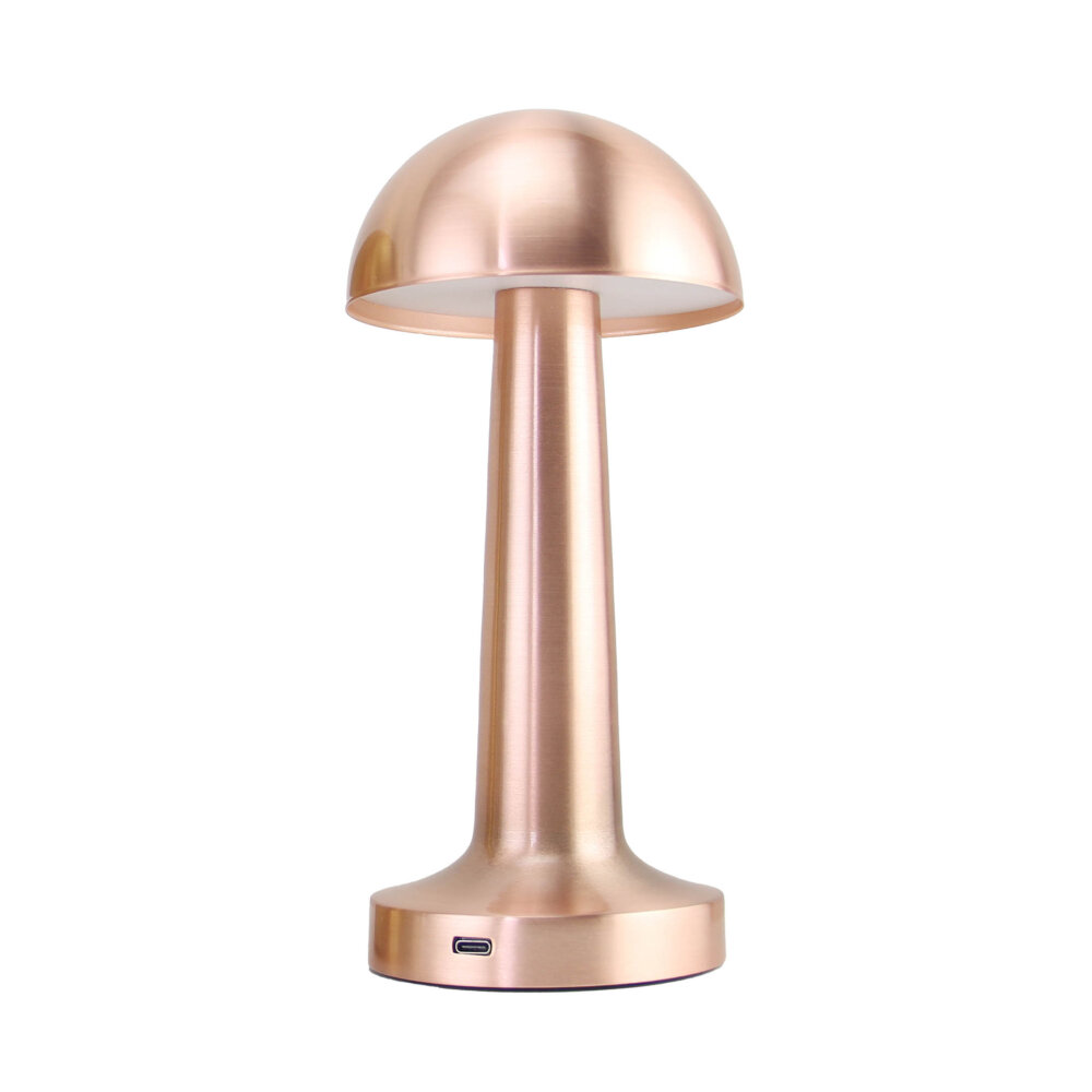 PANTHER PT-700 ROSE USB ŞARJLI MASA LAMBASI - 1